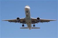 Saimon J Rodriguez   -   Canary Islands Spotting. Click to see full size photo