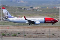 Miguel A. gueda Rguez.  (CANARY ISLANDS SPOTTING). Haz click para ampliar