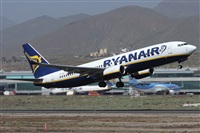 Alfonso Sols - Asociacin Canary Islands Spotting. Click to see full size photo