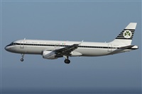 ©Alfonso Solís - Asociación Canary Islands Spotting. Click to see full size photo ©Alfonso Solís - Asociación Canary Islands Spotting. Click to see full size photo