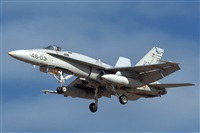 Bartolom Fernndez - Gran Canaria Spotters. Click to see full size photo