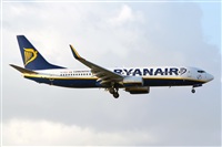Nacho Rodriguez - Canary Islands Spotting. Click to see full size photo