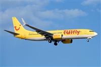 Miguel A. gueda Rguez.  (CANARY ISLANDS SPOTTING). Click to see full size photo
