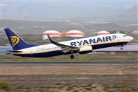 Miguel A. gueda Rguez.  (CANARY ISLANDS SPOTTING). Haz click para ampliar