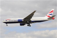 Miguel A. gueda Rguez.  (CANARY ISLANDS SPOTTING). Click to see full size photo