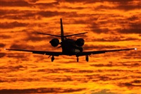 LEBL Spotter. Click to see full size photo