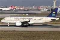 Rubn Gil - Noisy Spotters. Click to see full size photo