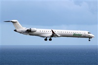 Adrin Alonso Lemes - Lanzarote Spotters. Click to see full size photo