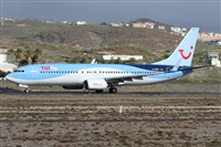 Alfonso Sols - Asociacin Canary Islands Spotting. Click to see full size photo