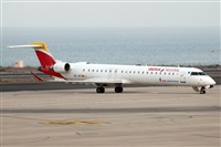 Adrin Alonso Lemes - Lanzarote Spotters. Click to see full size photo