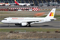 ©Alfonso Solís - Asociación Canary Islands Spotting. Click to see full size photo ©Alfonso Solís - Asociación Canary Islands Spotting. Click to see full size photo