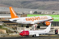 Paco Muoz Arencibia - Gran Canaria Spotters. Click to see full size photo