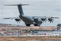 ©Adolfo Bento - Gran Canaria Spotters. Click to see full size photo ©Adolfo Bento - Gran Canaria Spotters. Click to see full size photo