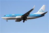 ©Alfonso Solís - Asociación Canary Islands Spotting. Click to see full size photo ©Alfonso Solís - Asociación Canary Islands Spotting. Click to see full size photo