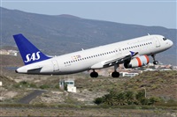 Alfonso Sols - Asociacin Canary Islands Spotting. Click to see full size photo