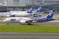 Miguel A. gueda Rguez.  (CANARY ISLANDS SPOTTING). Click to see full size photo