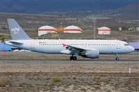 Miguel A. gueda Rguez.  (CANARY ISLANDS SPOTTING). Haz click para ampliar