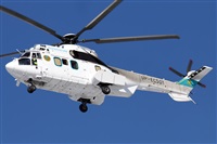 ©Maksimov Maxim - RuSpotters Team. Click to see full size photo ©Maksimov Maxim - RuSpotters Team. Click to see full size photo