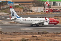 ©J. Victor Vega-Gran Canaria Spotters. Click to see full size photo ©J. Victor Vega-Gran Canaria Spotters. Click to see full size photo