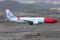 Miguel A. gueda Rguez.  (CANARY ISLANDS SPOTTING). Click to see full size photo