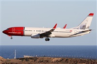 ©Alfonso Solís - Asociación Canary Islands Spotting. Click to see full size photo ©Alfonso Solís - Asociación Canary Islands Spotting. Click to see full size photo