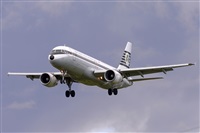 Miguel A. gueda Rguez.  (CANARY ISLANDS SPOTTING). Click to see full size photo