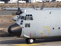 Florencio Martn Melin - Lanzarote Spotters. Click to see full size photo