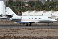 Alfonso Sols - Asociacin Canary Islands Spotting. Click to see full size photo