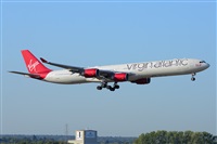 Miguel A. gueda Rguez.  (CANARY ISLANDS SPOTTING). Click to see full size photo