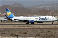 ©Alfonso Solís - Asociación Canary Islands Spotting. Click to see full size photo ©Alfonso Solís - Asociación Canary Islands Spotting. Click to see full size photo