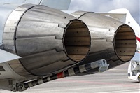 ©Daniel Santos Batista - Canary Islands Spotting. Click to see full size photo ©Daniel Santos Batista - Canary Islands Spotting. Click to see full size photo