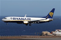 Alfonso Sols - Asociacin Canary Islands Spotting. Click to see full size photo