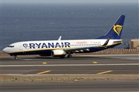 Alfonso Sols - Asociacin Canary Islands Spotting. Click to see full size photo