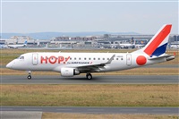 Miguel A. gueda Rguez.  (CANARY ISLANDS SPOTTING). Click to see full size photo