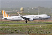 Miguel A. gueda Rguez.  (CANARY ISLANDS SPOTTING). Click to see full size photo