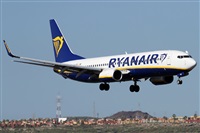 ©Alfonso Solís - Asociación Canary Islands Spotting. Click to see full size photo ©Alfonso Solís - Asociación Canary Islands Spotting. Click to see full size photo