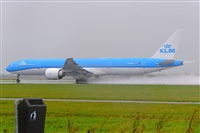 Miguel A. gueda Rguez.  (CANARY ISLANDS SPOTTING). Haz click para ampliar