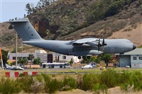 Miguel A. gueda Rguez.  (CANARY ISLANDS SPOTTING). Click to see full size photo