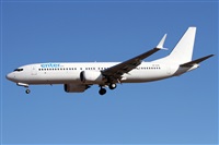 Alfonso Sols - Asociacin Canary Islands Spotting. Click to see full size photo