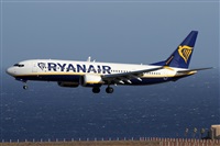 Alfonso Sols - Asociacin Canary Islands Spotting. Haz click para ampliar
