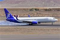 Miguel A. gueda Rguez.  (CANARY ISLANDS SPOTTING). Click to see full size photo