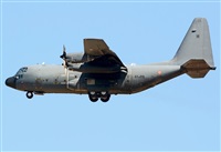©Alejandro H.L - Gran Canaria Spotters. Click to see full size photo ©Alejandro H.L - Gran Canaria Spotters. Click to see full size photo