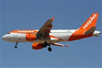 ©Alfonso Solís - Asociación Canary Islands Spotting. Click to see full size photo ©Alfonso Solís - Asociación Canary Islands Spotting. Click to see full size photo