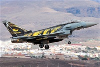 Manuel Fernandez. Click to see full size photo