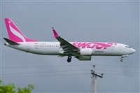 Miguel A. gueda Rguez.  (CANARY ISLANDS SPOTTING). Click to see full size photo