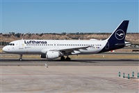 ©Román A. Pérez. Click to see full size photo ©Román A. Pérez. Click to see full size photo