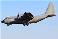 �Ruben Galindo.. Click to see full size photo