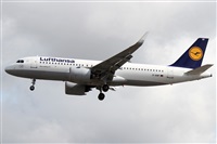 �Alfonso Sol�s - Asociaci�n Canary Islands Spotting. Click to see full size photo