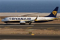 ©Alfonso Solís - Asociación Canary Islands Spotting. Click to see full size photo ©Alfonso Solís - Asociación Canary Islands Spotting. Click to see full size photo
