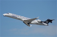 Rubn Gil - Noisy Spotters. Click to see full size photo